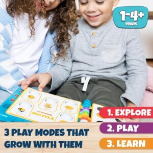 Montessori senzorna knjiga za učenje boja